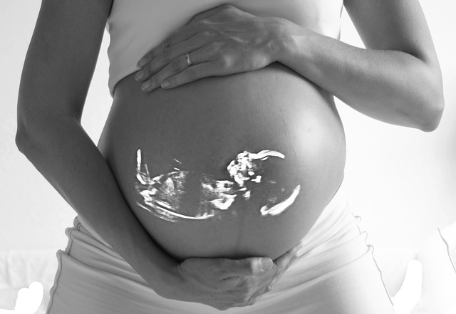 Datei:Schwangerschaft Ultraschall.jpg