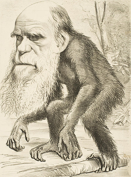 Datei:Charles Darwin als Affe.jpg