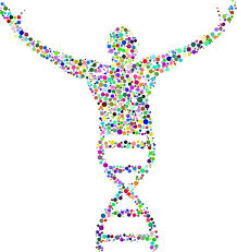Datei:Katabolismus-Stoffwechsel-DNA.jpg