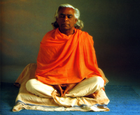 Datei:Swami Vishnu in Meditation.jpg