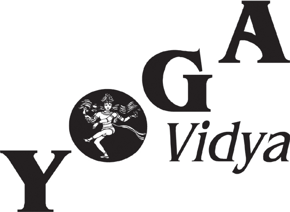 Datei:Yv logo.jpg