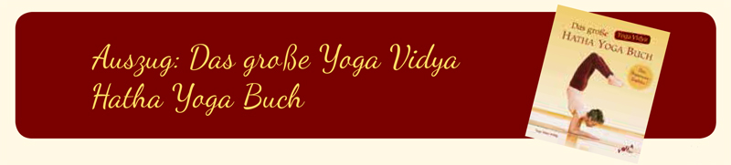 Yoga Vidya Hatha Yoga Buch Journal Nr37-20.jpg