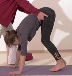 In den Handstand helfen - Yoga Vidya Bodywork 2.jpg