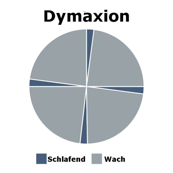 Datei:600px-Dymaxion.svg.jpg