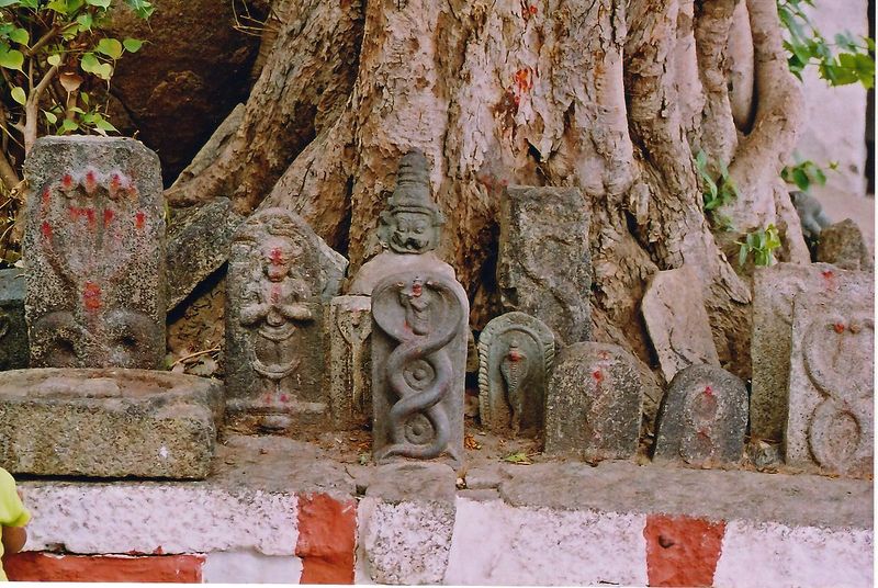 Datei:Vijayanagar Schlangensteine.jpg
