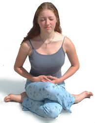 (17) Gomukhasana als Sitzhaltung für die Meditation.