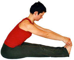 4. Vorwärtsbeuge: Dehnt die Beinmuskeln (Bizeps Femori, Gastrocnemius) und Gesäßmuskeln (Gluteus). Wichtig: Rücken gerade halten.