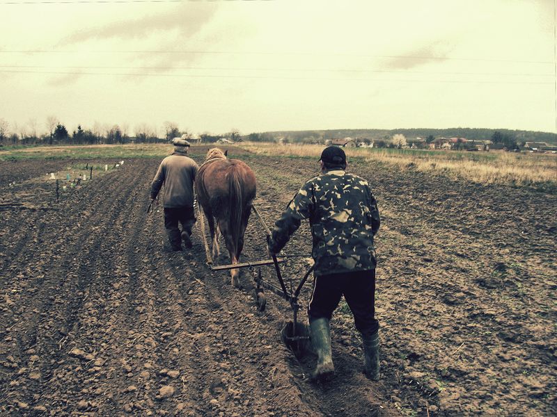 Datei:Feld Landwirtschaft Arbeiter umpflügen.jpg