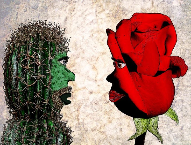 Datei:Rose Blume Kaktus Gegensätze Polarität Grün rot Mann Frau.jpg