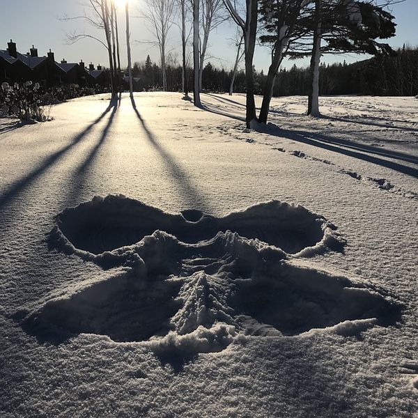 Datei:Schnee Engel Sonne Winter Natur.jpg
