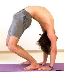 Steuerrad - Yoga Pose Chakrasana 3.jpg