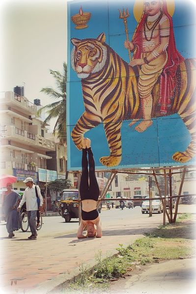 Datei:Kopfstand Straße Durga Tiger.jpg