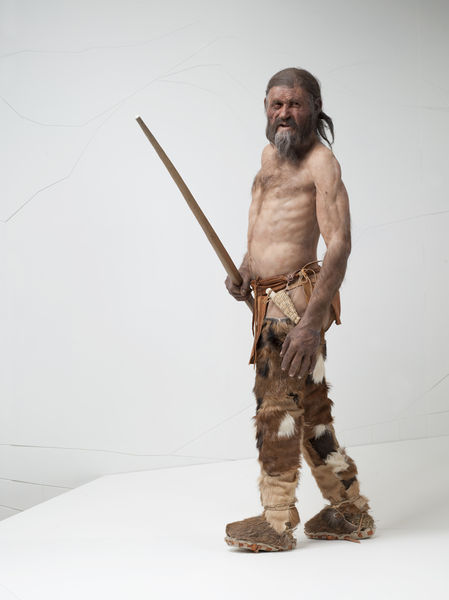 Datei:Ötzi.jpg