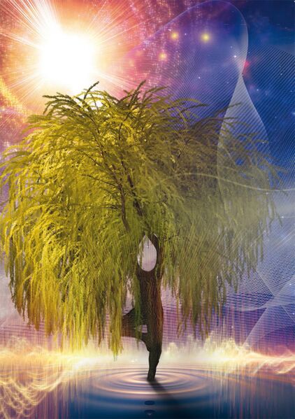 Datei:Heilung Yoga Baum Licht Energie Gleichgewicht Stabilität.jpg
