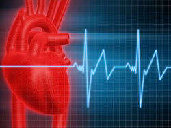 Herz EKG.JPG