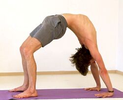 Steuerrad - Yoga Pose Chakrasana 2.jpg