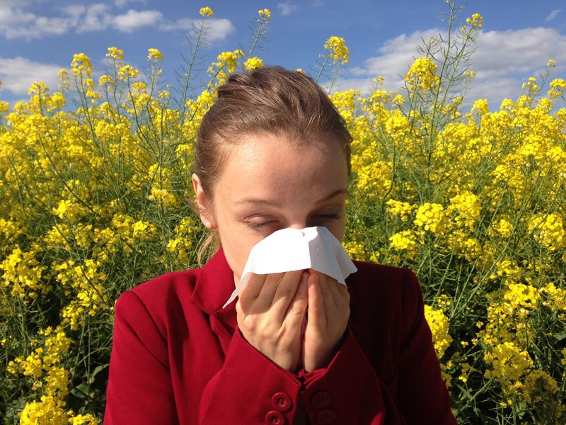 Datei:Allergie Pollen Schnupfen Blüten.jpg