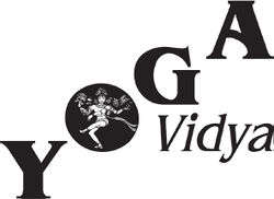 Yv logo.jpg