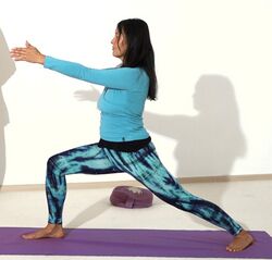 Yoga Kriegerin 3.jpg