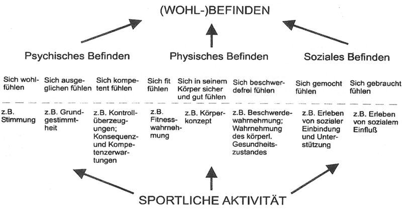 Datei:Konzeptualisierung des Zusammenhangs zwischen sportlicher Aktivität und Wohlbefinden.jpg