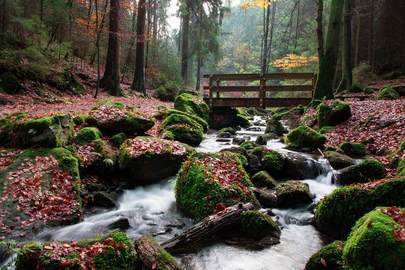Datei:Teutoburg Wald Wald Natur Mystisch Spiritualität Brücke Bach Fluss.jpg