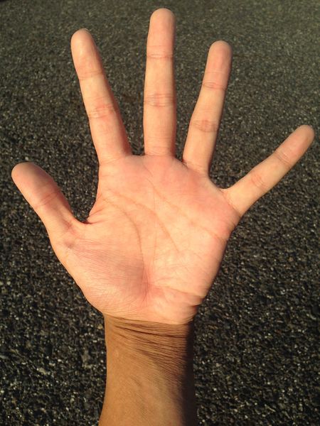 Datei:Hand lesen Finger palm reading.jpg