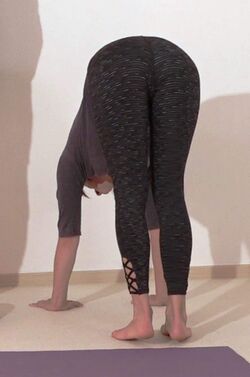 In den Handstand helfen - Yoga Vidya Bodywork 6.jpg