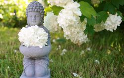 Buddha Blumen Meditation.jpg