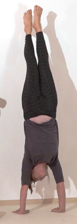 In den Handstand helfen - Yoga Vidya Bodywork 8.jpg