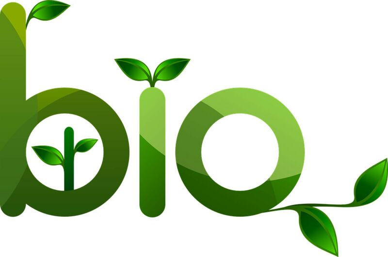 Datei:Bio Umwelt Ökologie Symbol Pflanze grün.jpg