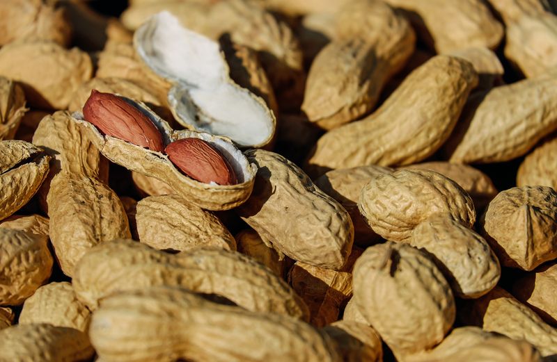 Datei:Erdnuss Nüsse Peanuts.jpg