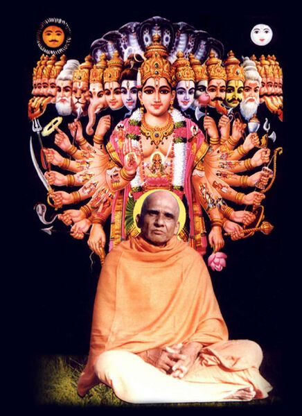 Datei:Swami Krishnananda, The Ideal Saint-115.jpg