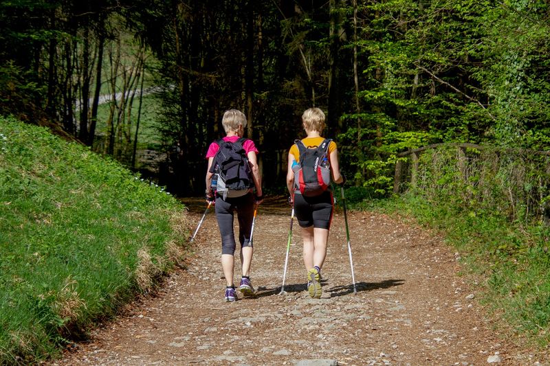 Datei:Nordic Walking-Stock-Natur-Wald-Wiese-Frauen-Gesundheit-Freizeit-Wandern-Walking.jpg