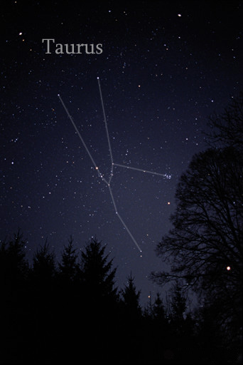 Datei:Stier Taurus Sternenbild.jpg