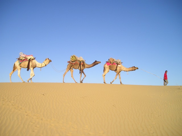 Datei:Karawane Karavane Wüste Kamel Indien.jpg