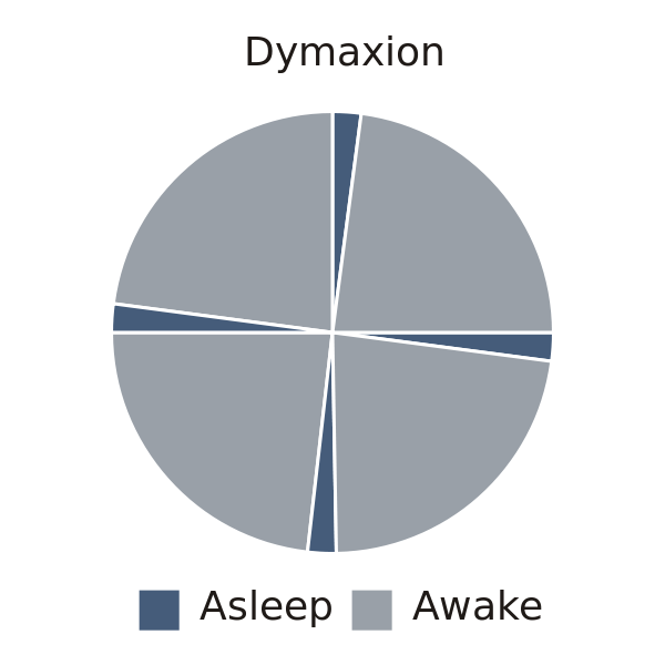 Datei:Polyphasischer Schlaf Dymaxion.png