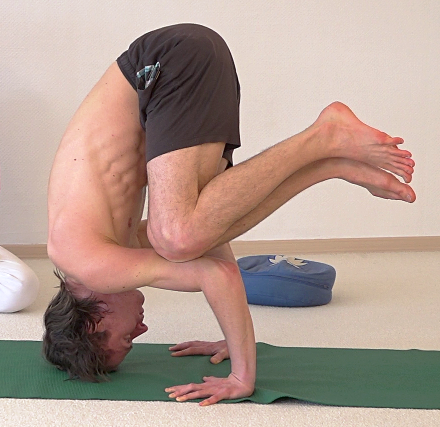 Parshva Bakasana in Shirshasana, Seitkrähe mit dem Kopf auf dem Boden