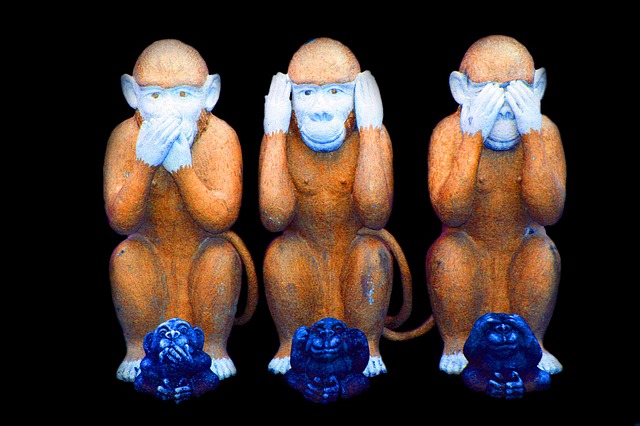 Datei:Drei Affen sechs Affen.jpg