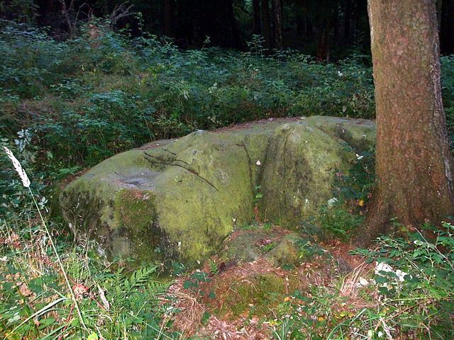 Datei:Opferstein Leistruper Wald.jpg