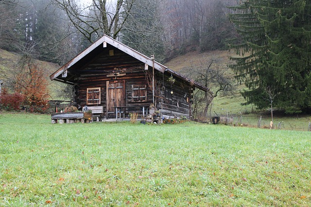 Datei:Hütte Wald Behausung.jpg