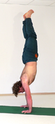 Parshva Adho Mukha Vrikshasana AL 2725 .png