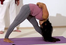 Yoga Pyramide - Parshvottanasana 2.jpg