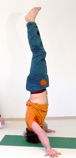 785-Mukta-Hasta-Shirshasana05-28-12h50m47s776.png