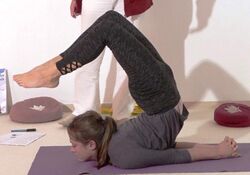 In die fortgechrittene Heuschrecke helfen - Yoga Vidya Bodywork Shalabhasana 6.jpg