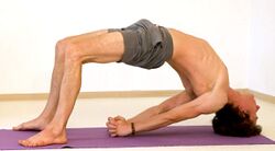 Umgekehrte Stockhaltung Dvipadaviparitadandasana - Yoga Pose 2.jpg