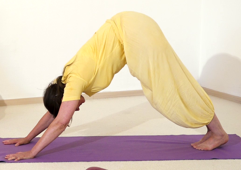 Datei:Eidechse Stellung 1 Ausgangsstellung Hund.png