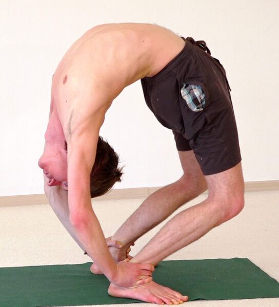 Datei:2305-Maha-Chakrasana.jpg