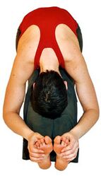 (7) Bauch und Brust auf die Beine legen, soweit Du eben kommst. Wenn Du nicht so flexibel bist, gehst Du nur bis (5) oder (6). Dabei Kopf entspannt hängen lassen. Wichtig: Unterer Rücken bleibt relativ gerade. Die Dehnung ist in den Waden, Kniekehlen und Oberschenkeln spürbar. Der untere Rücken ist entspannt. Bleibe 1-5 Minuten oder länger in der Stellung.
