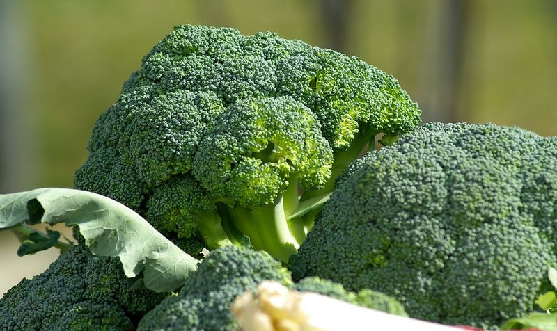 Datei:Broccoli Gemüse.jpg