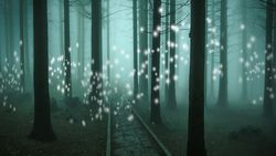 Orbs Fantasy Wald Weg grün dunkel Bäume Licht Lichtwesen Geister.jpeg